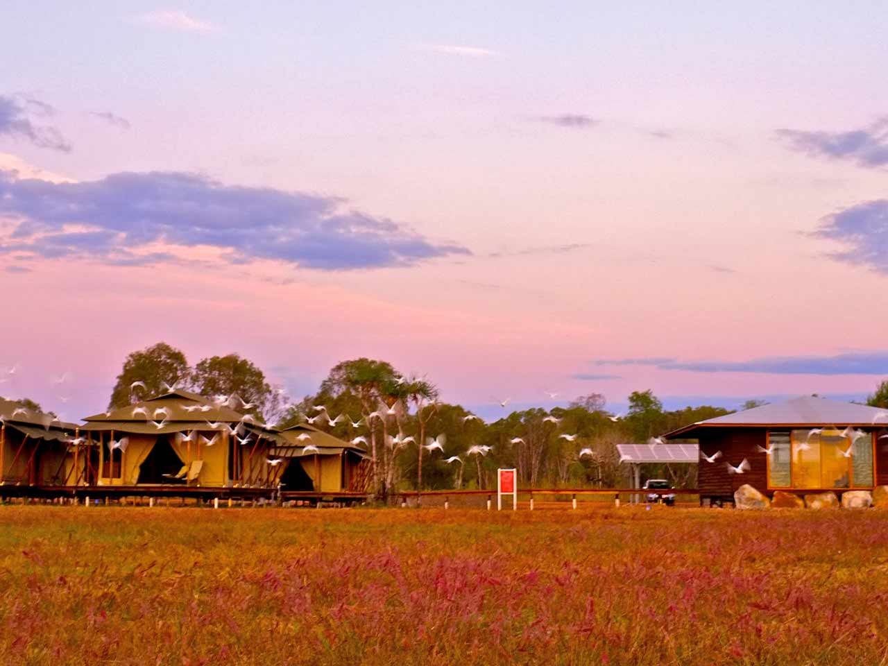 Into the Wild The Mary River Wetlands Expedia
