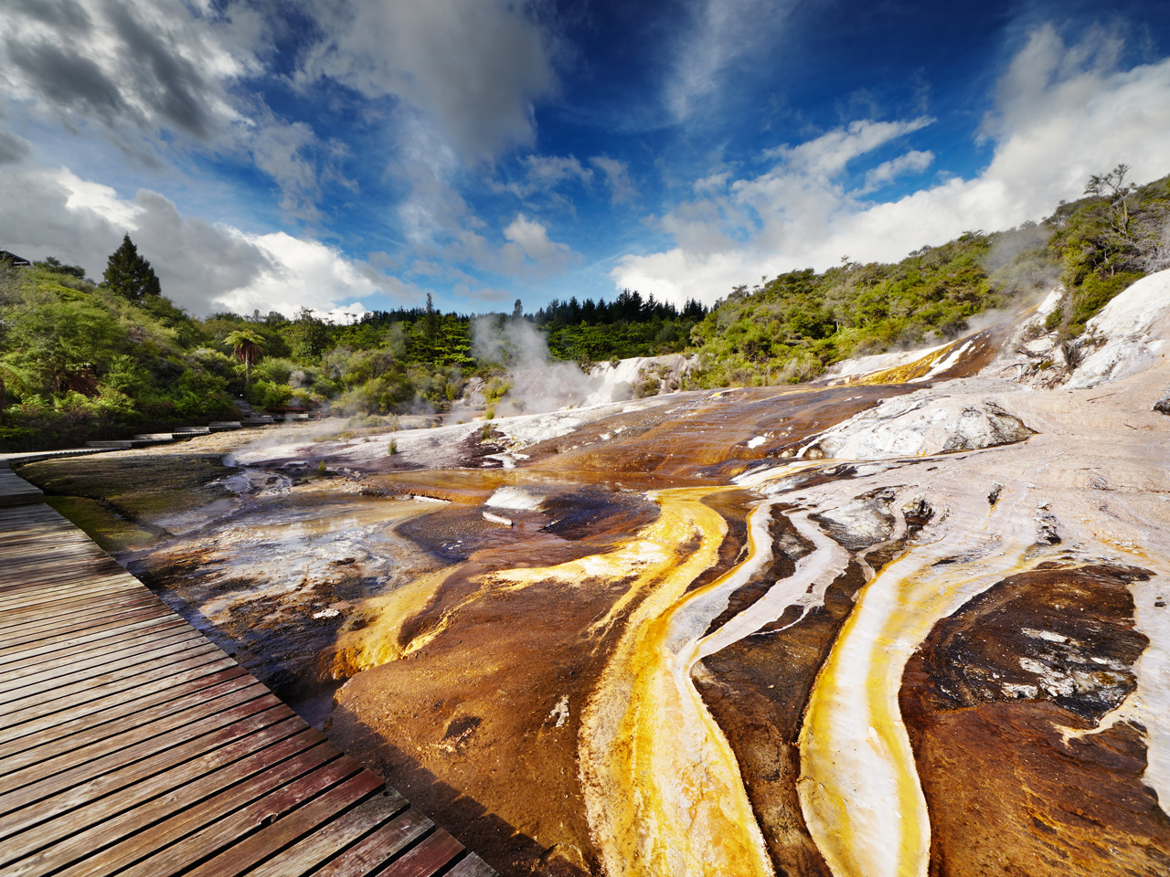 The Essential Guide to Rotorua Expedia