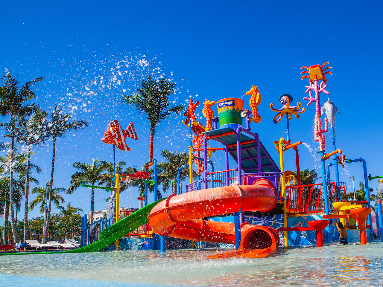 expedia family vacation packages expedia family vacation packages